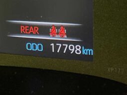 
										TOYOTA TOYOTA OTHERS 2022 RZ( 17798) full									