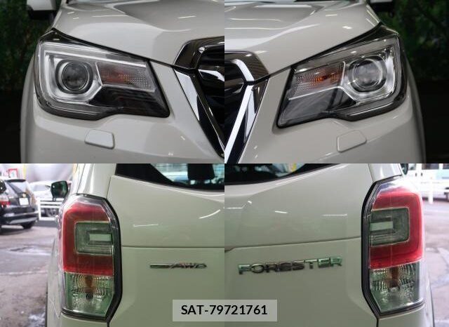 
								Subaru Forester full									