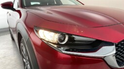 
										Mazda Cx-30 2021( 33 769KM) full									