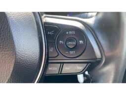 
										Toyota Corolla 2019 ( 21 538km) full									