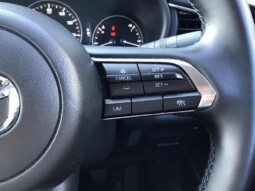 
										Mazda CX-30 2024 ( 4828km) full									