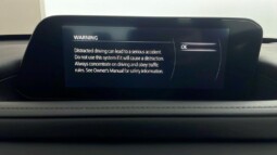 
										Mazda Cx-30 2021( 33 769KM) full									