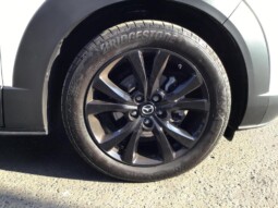 
										Mazda CX-30 2024 ( 4828km) full									