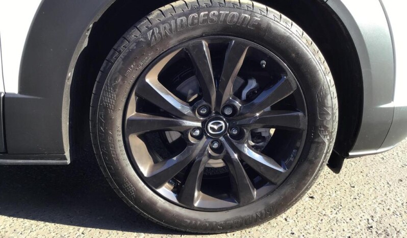 
								Mazda CX-30 2024 ( 4828km) full									