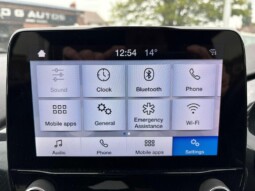 
										Ford Fiesta 2019 (93 342km) full									