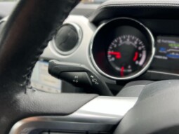 
										Ford Mustang 2018  16949km full									