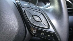 
										Toyota C-HR 2019 90123km full									