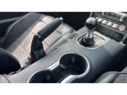 
										Ford Mustang 2022 35579km full									