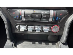 
										Ford Mustang 2022 35579km full									