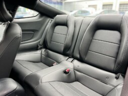 
										Ford Mustang 2018  16949km full									