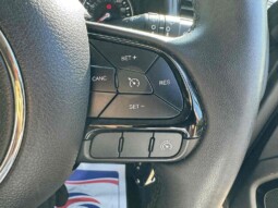 
										Jeep Renegade 2022 (36694km) full									