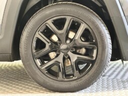 
										Jeep Renegade 2022 (24447km) full									