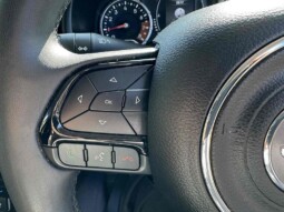 
										Jeep Renegade 2022 (36694km) full									
