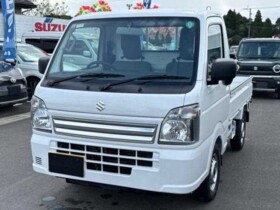 Suzuki Carry Truck 2024 (4 km)