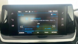 
										Peugeot 208 2024(26,707km full									