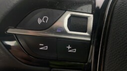 
										Peugeot 208 2024(26,707km full									
