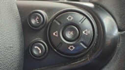 
										MINI Countryman  2018 /134,969 km full									